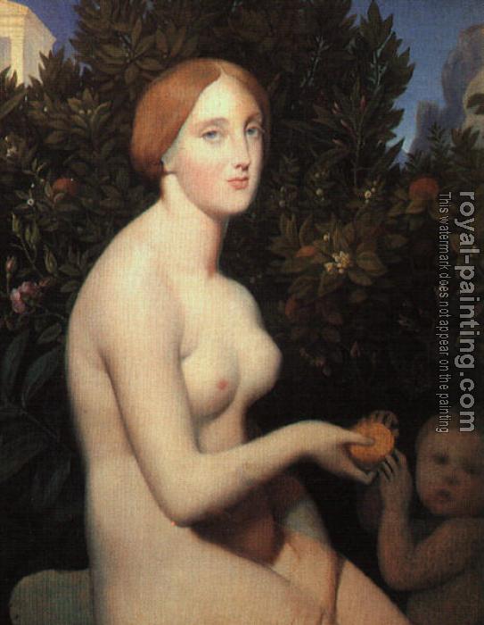 Jean Auguste Dominique Ingres : Venus at Paphos